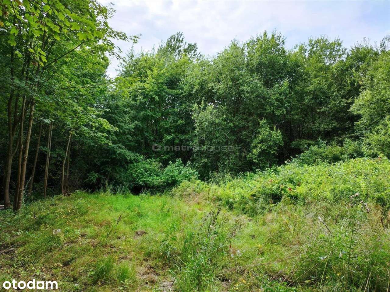 Działka budowlana w zielonej okolicy - Pełny obrazek: 2/5