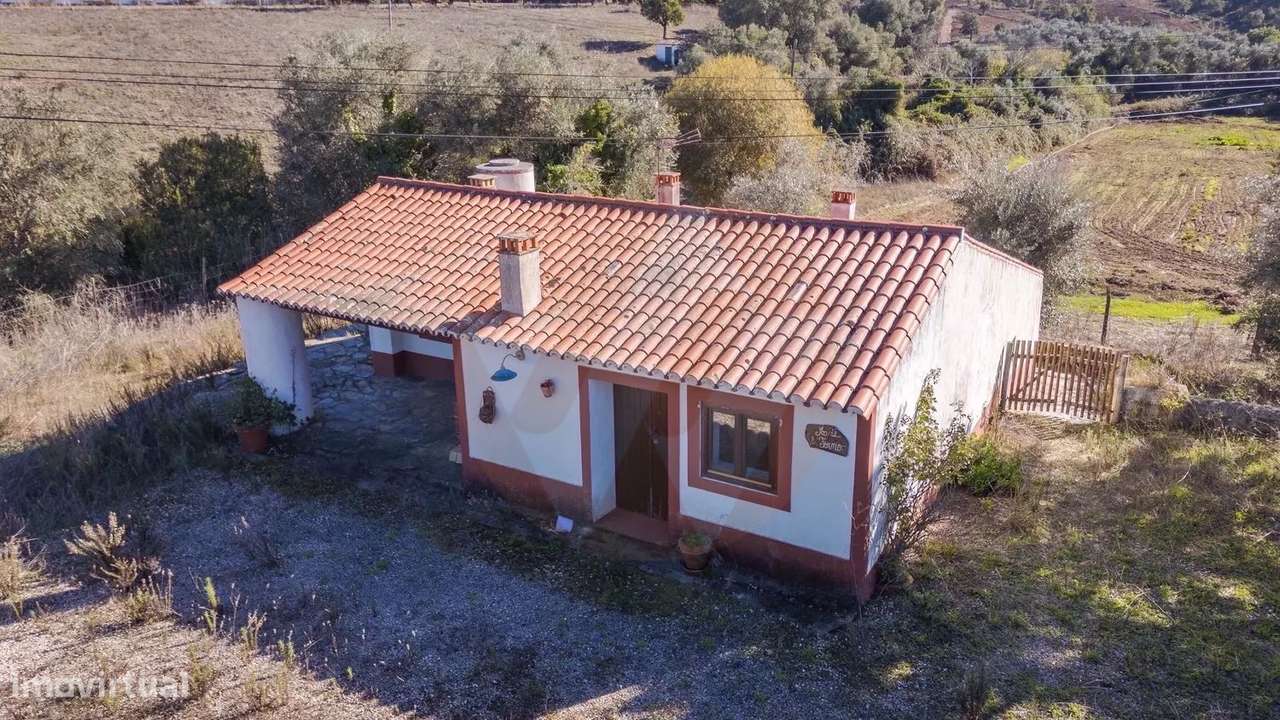 HERDADE QUE QUER CONTINUAR A FAZER HISTÓRIA - Grande imagem: 4/17