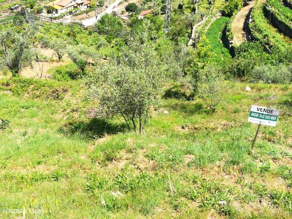 Lote de terreno com 480m² destinado à construção de uma moradia uni... - Grande imagem: 5/9