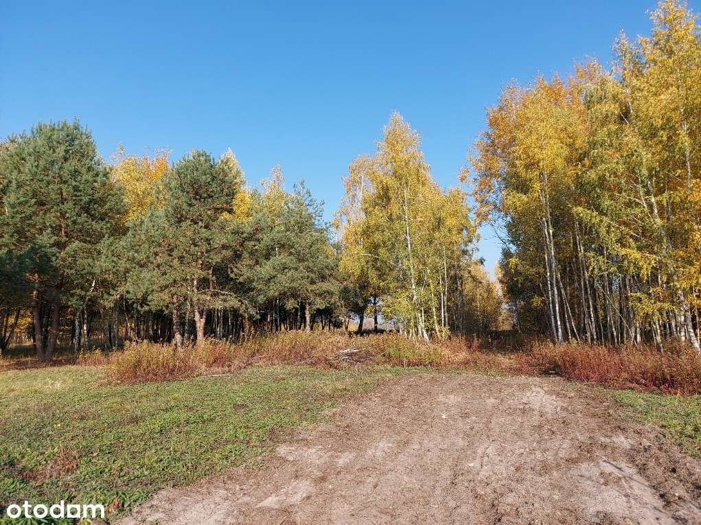 Działka  budowlana w Łubnej w Gminie Góra Kalwaria-1