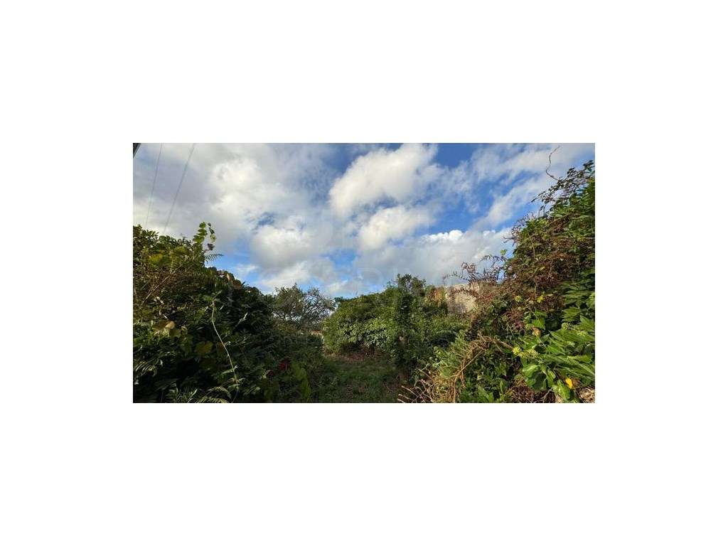 Terreno Urbanizável em Gondomil, Valença - Grande imagem: 5/9