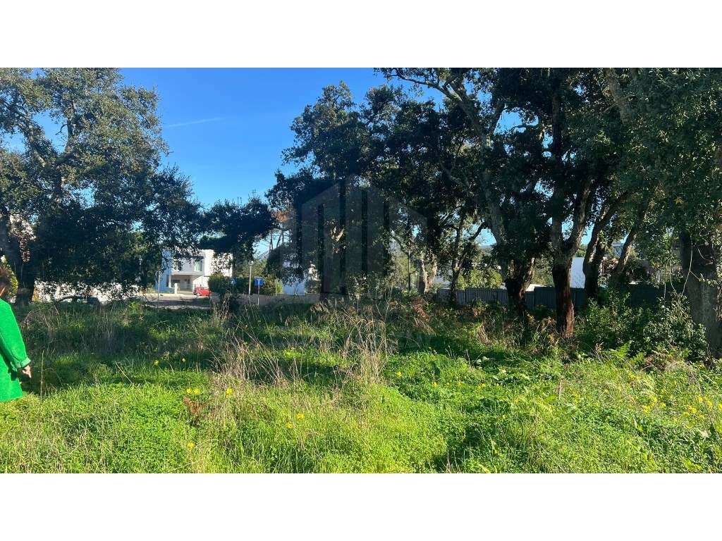 Terreno Urbano com Projeto Aprovado para Moradia com Piscina e Gara... - Grande imagem: 4/20