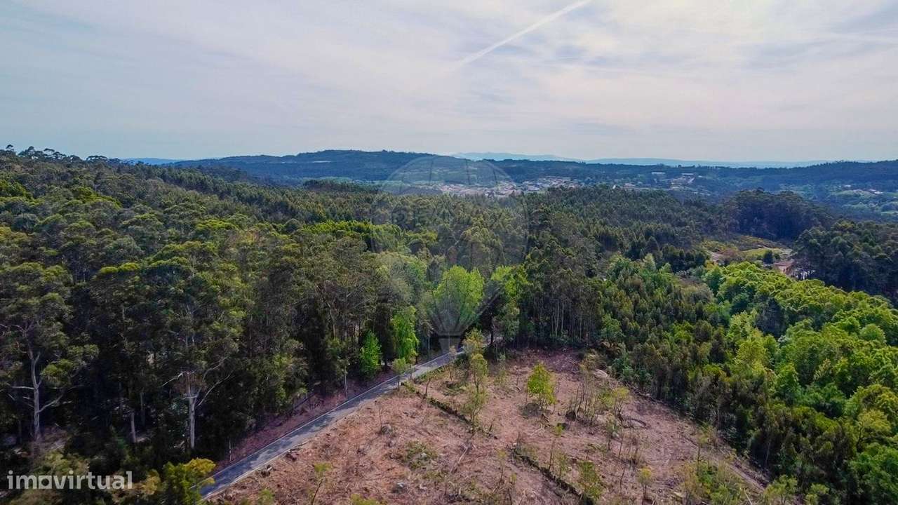 Terreno  para venda - Grande imagem: 4/10