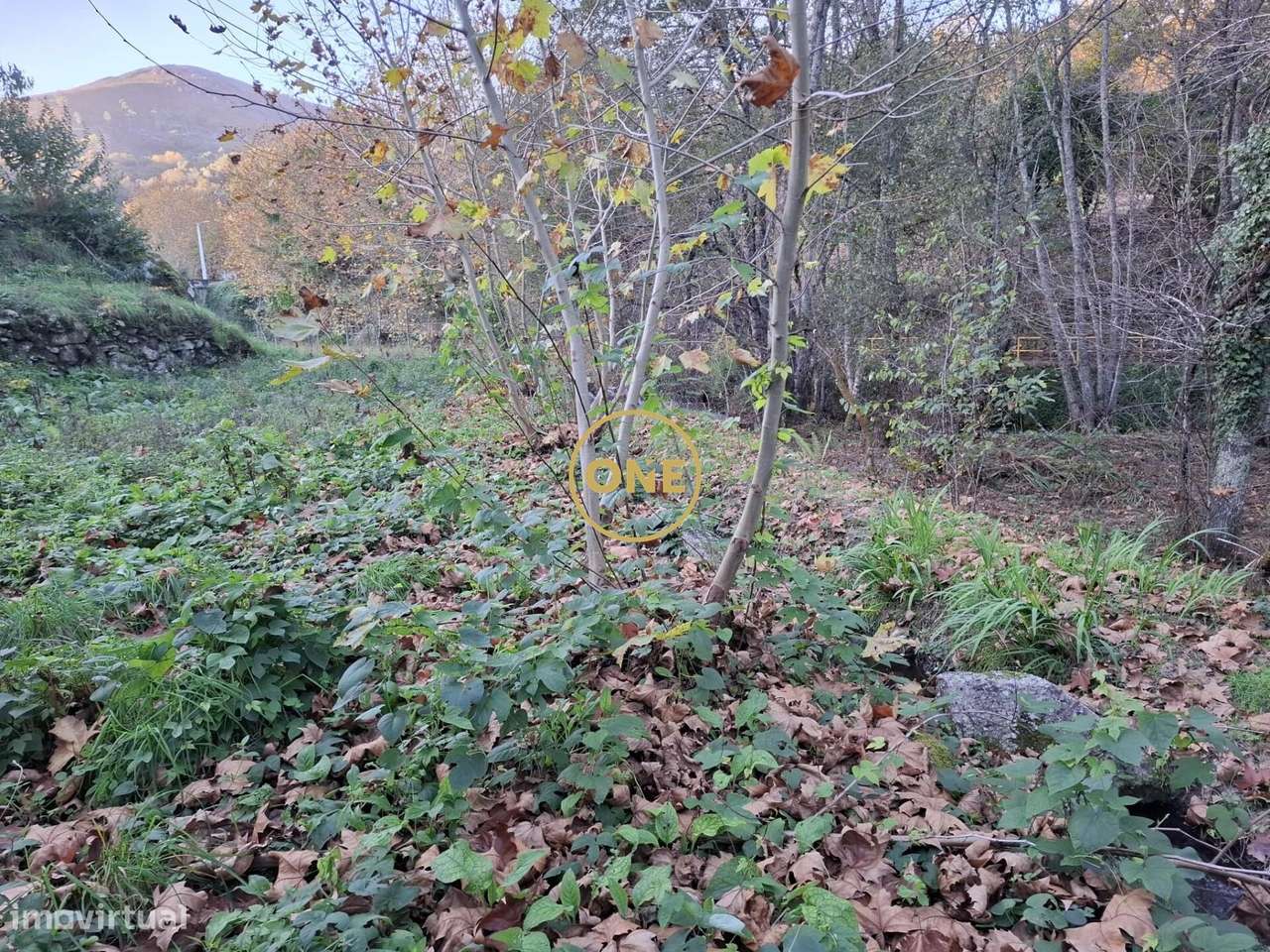 Terreno em Valdreu – Vila Verde! - Grande imagem: 4/17