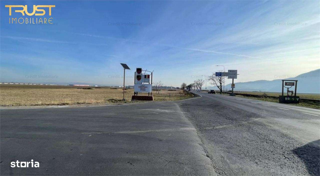 Teren intravilan l 5000 MP l Front stradal 77m - Imagine principală: 4/5