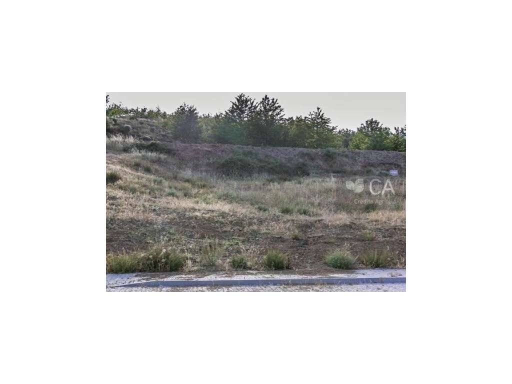 Lote para Venda - Grande imagem: 3/3