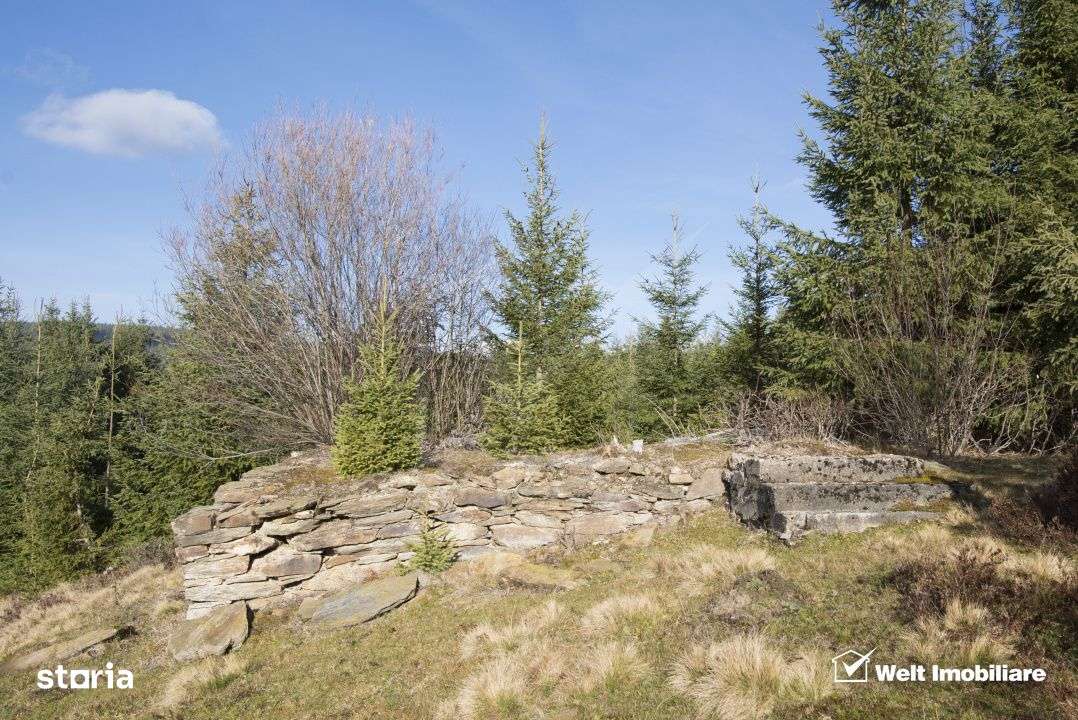 Se vinde teren cat un munte in Apuseni - Poiana Horea-7