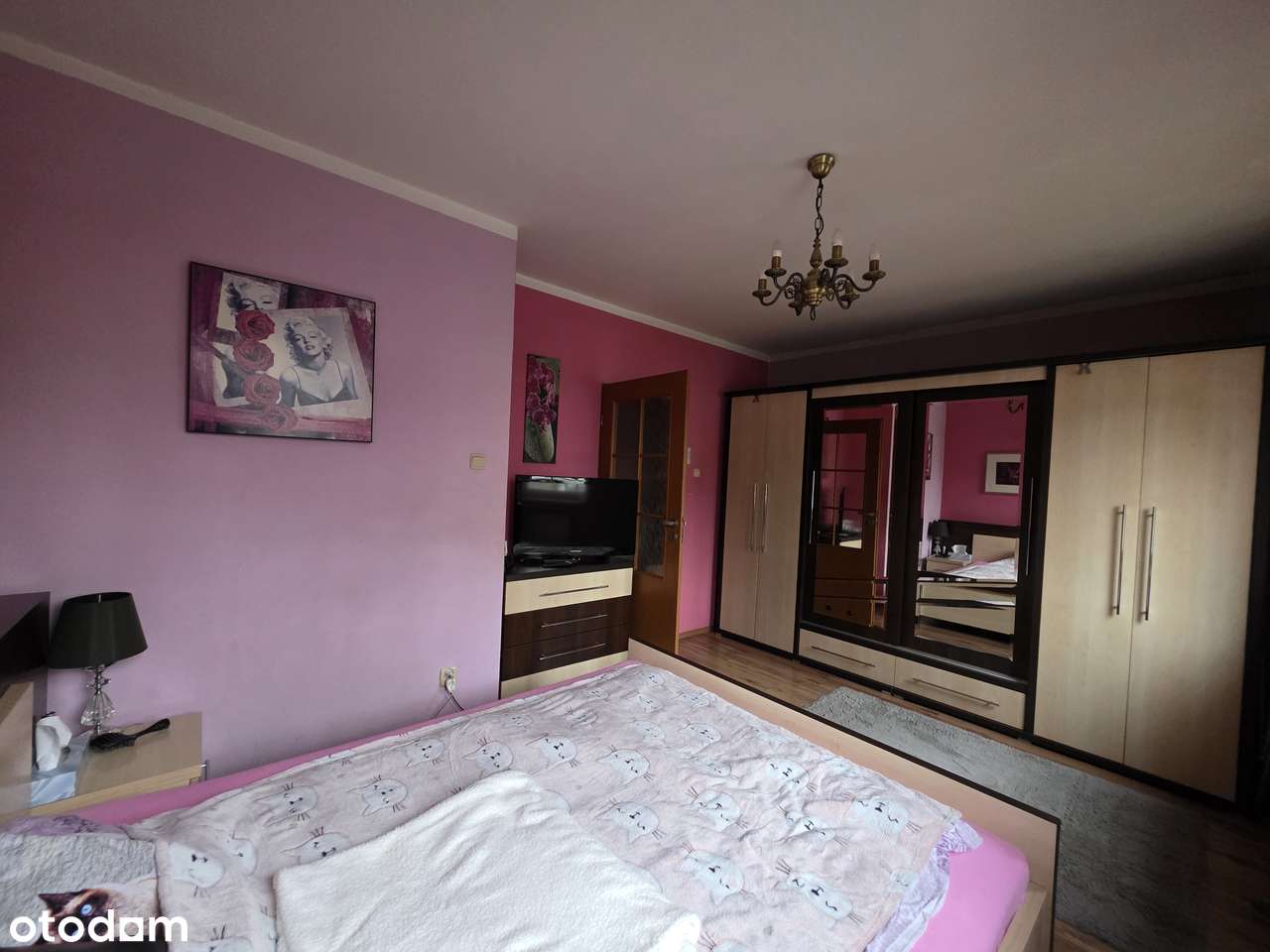 Mieszkanie 3 pokoje z ogródkiem plus kamienica z lokalami na wynajem - Pełny obrazek: 4/19