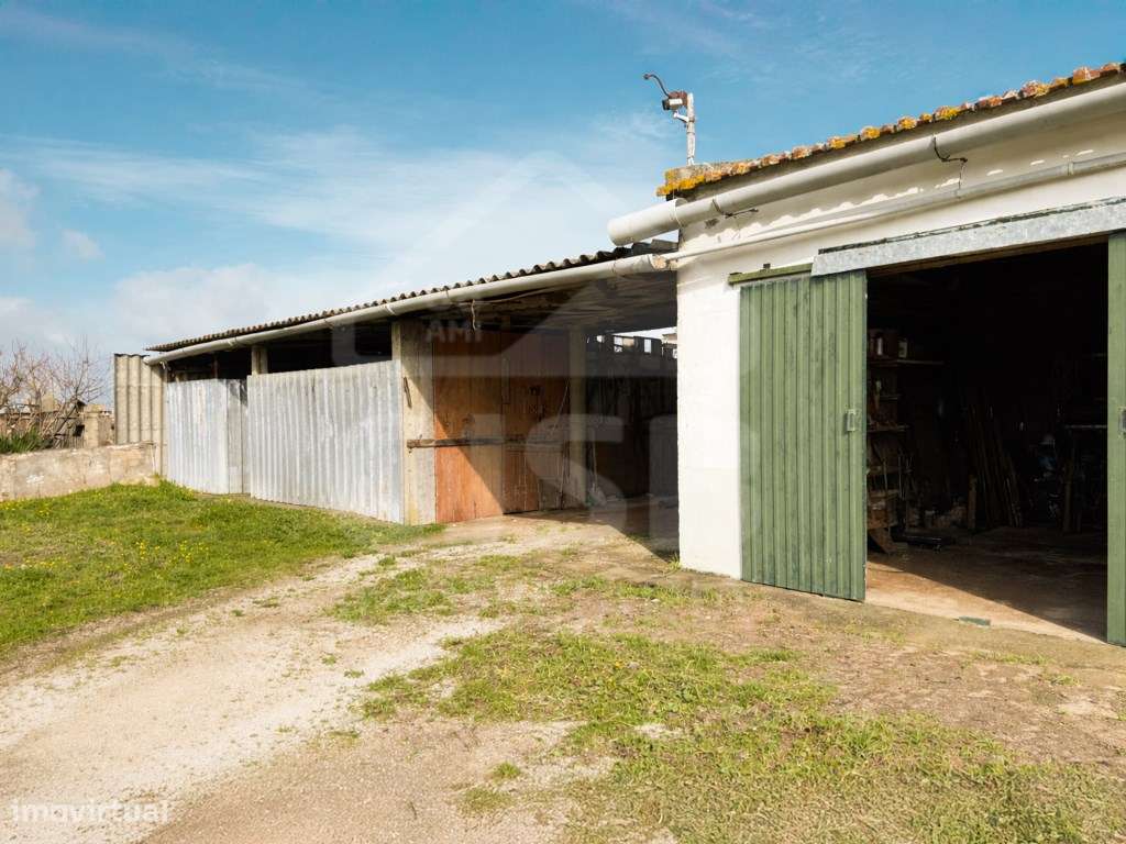 Terreno em Benavente-13