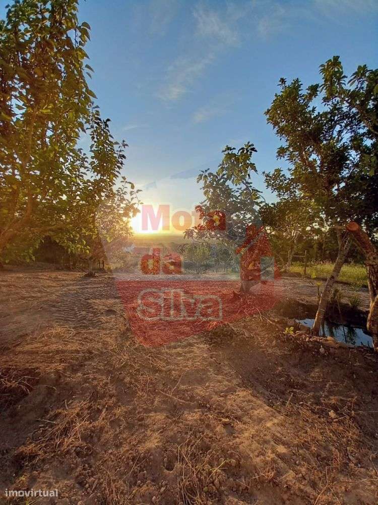Quinta em Vale Figueira Melides-20
