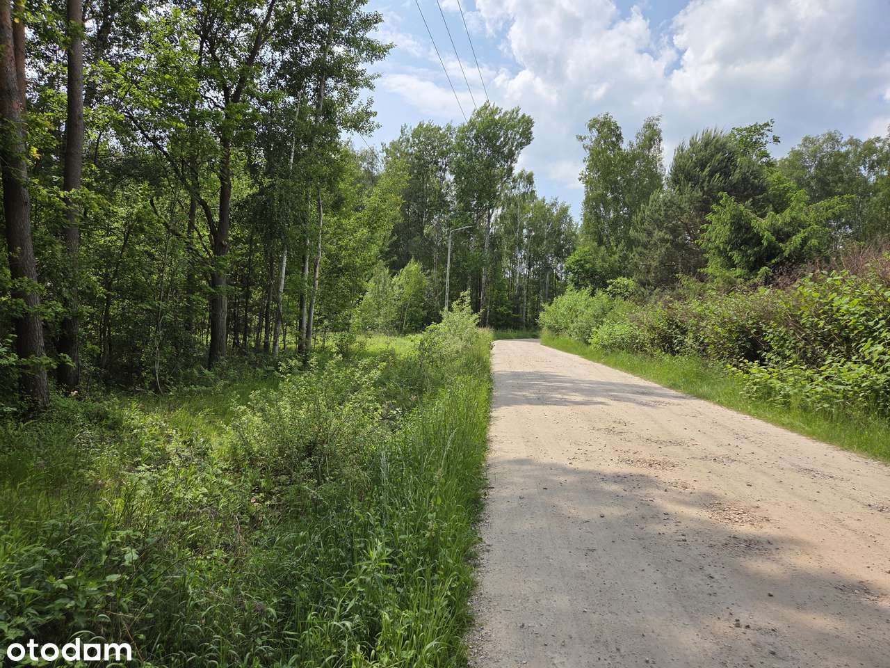 Dwie działki budowlane przy lesie, media, sprzedaż łączna-11