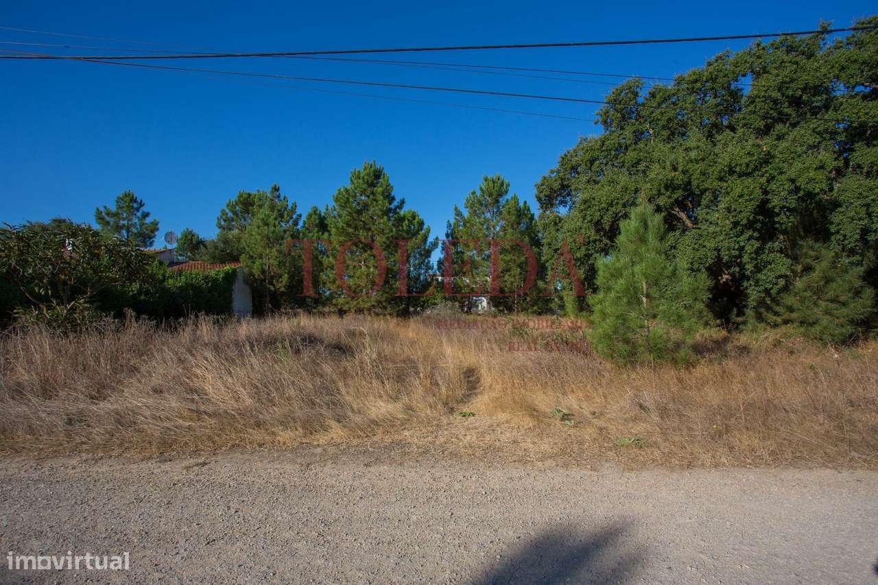 Terreno Monte Lagarto - Palmela - Grande imagem: 4/21