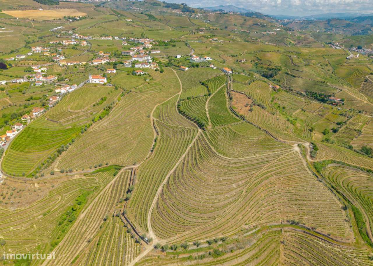 Duas quintas com 30ha para venda em Santa Marta de Penaguião, propried-28