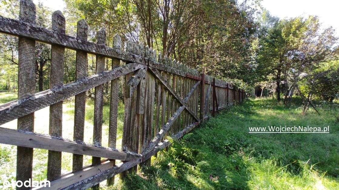 leśniczówka - środek puszczy w Lasach Janowskich - Pełny obrazek: 5/20