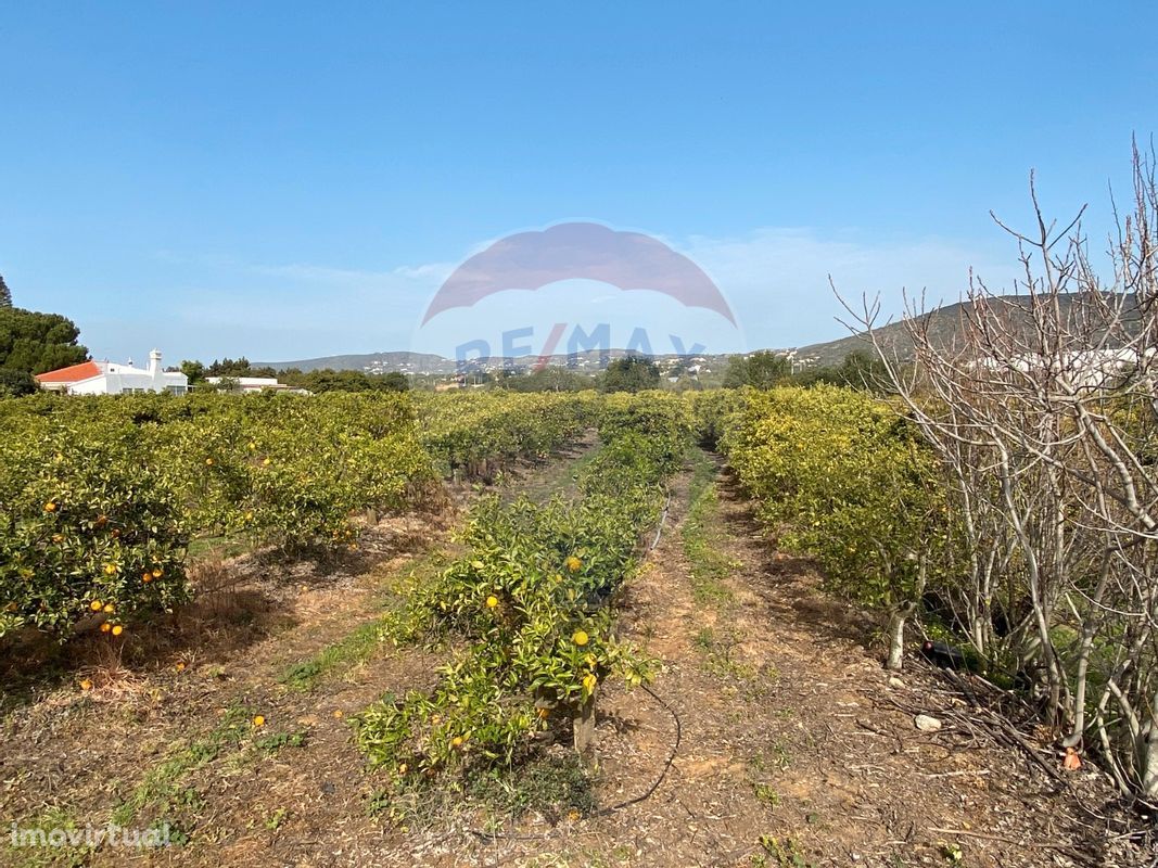 Terreno  para venda