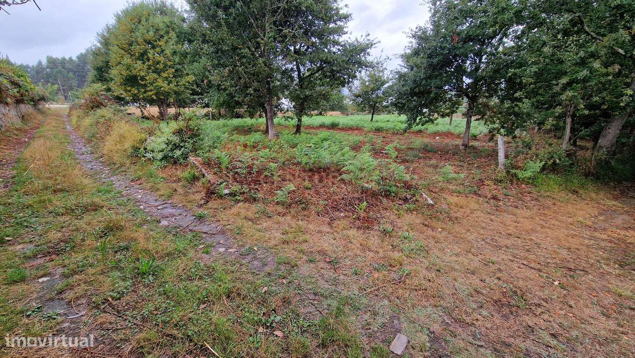 Terreno plano, com 2152m2, localizado a 5 minutos do centro de S. Pedr-5