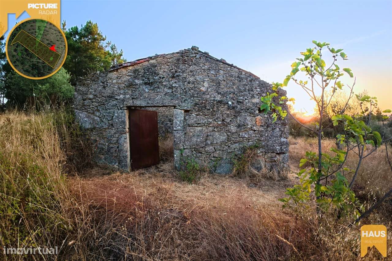 Terreno Rústico de 2.400 m² – 30m2 Ruína, Poço em Pedra, Olival - Grande imagem: 4/40