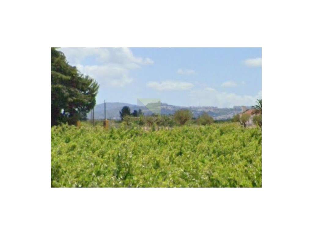 LOTE DE TERRENO COM 6000M2 - ENTRE PINHAL NOVO E PALMELA-7