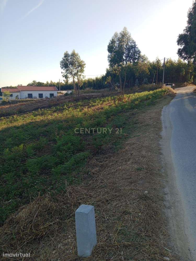 Terreno com projecto aprovado, no Cidral, em Rio Maior - Grande imagem: 4/10