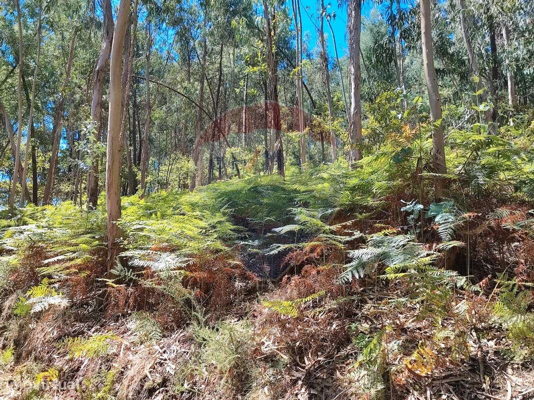 Terreno T0 para venda - Grande imagem: 2/4