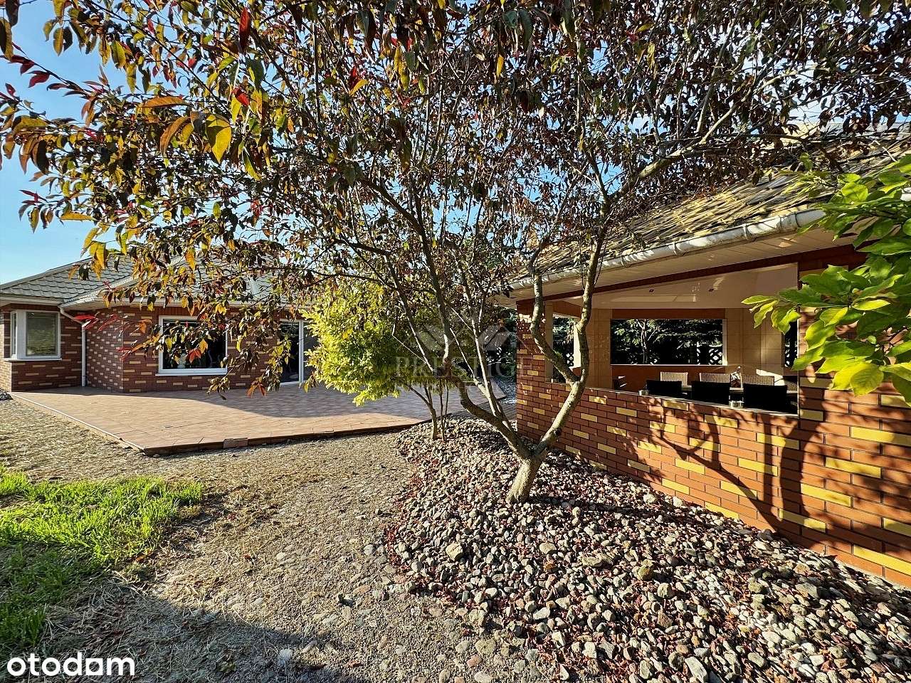 Dwa domy, siedlisko ze stawem i halą, wśród lasu-7