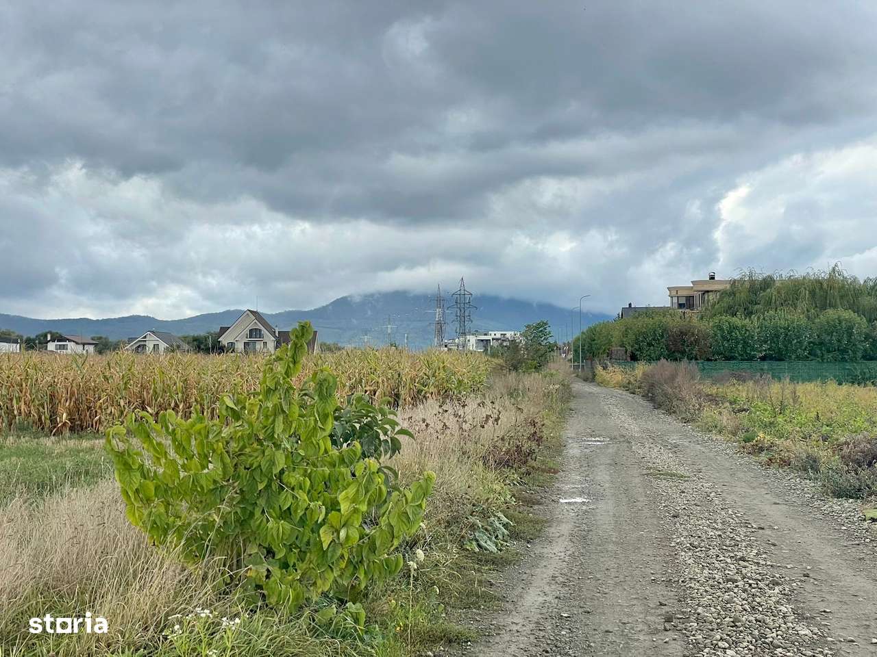 Teren industrial pretabil Hala P.U.Z aprobat! - Imagine principală: 5/6