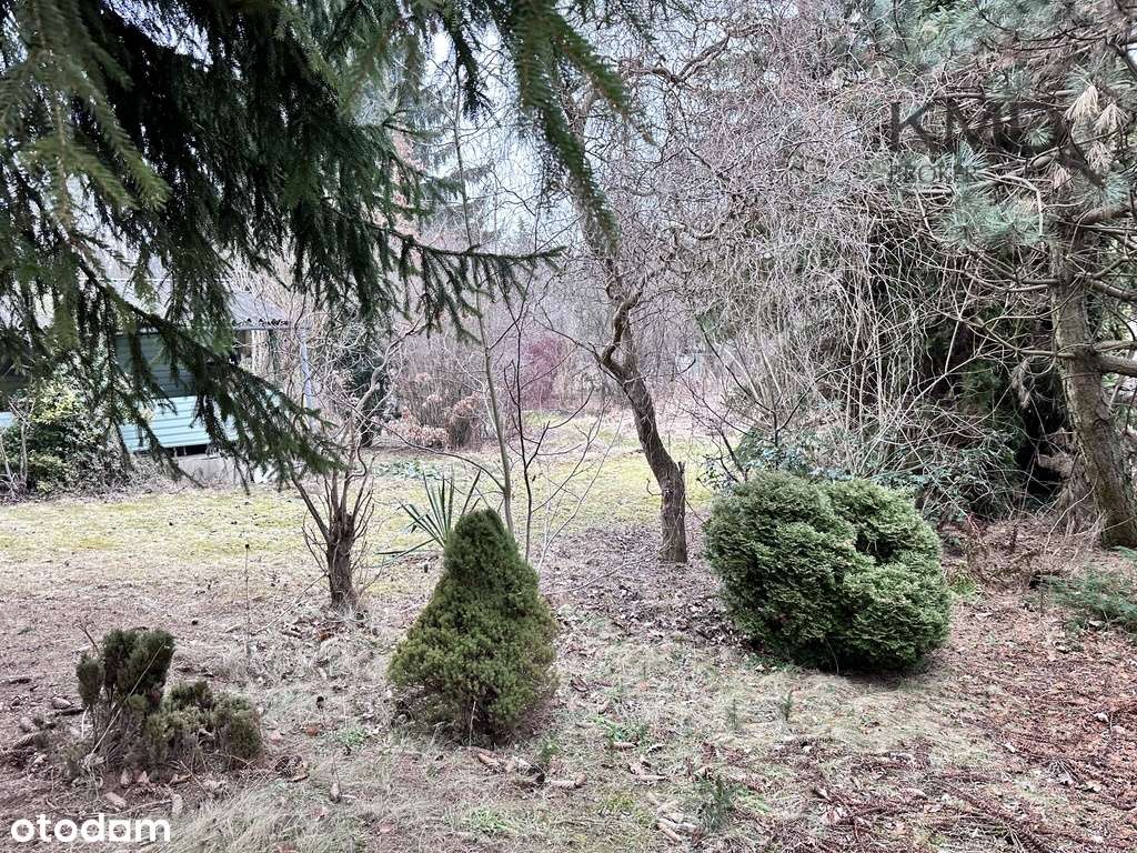 Działka ROD  Wspólny Sad. - Pełny obrazek: 5/15