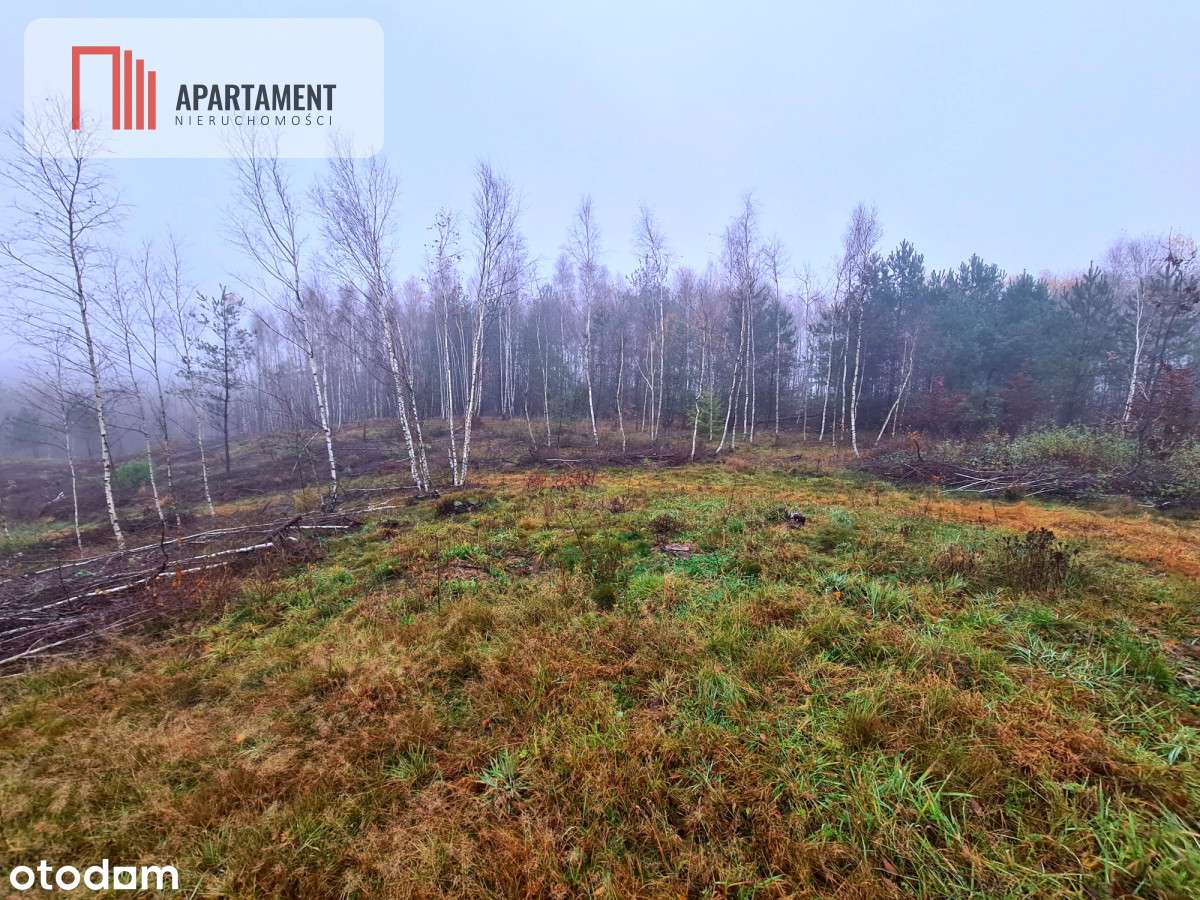 Okazja! Działki W Cichej I Spokojnej Okolicy!! - Pełny obrazek: 4/7
