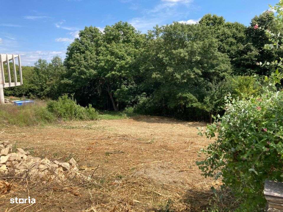 TEREN INTRAVILAN 1060 MP, BUCIUM- BARNOVA, DESCHIDERE LA DRUM 23 M - Imagine principală: 4/5