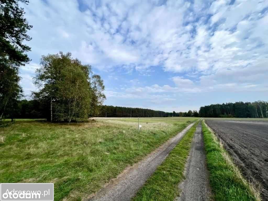 Działka z warunkami zabudowy - Pełny obrazek: 5/10