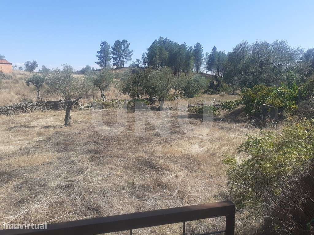 Terreno Rústico com 7500m2 de área - Grande imagem: 3/16