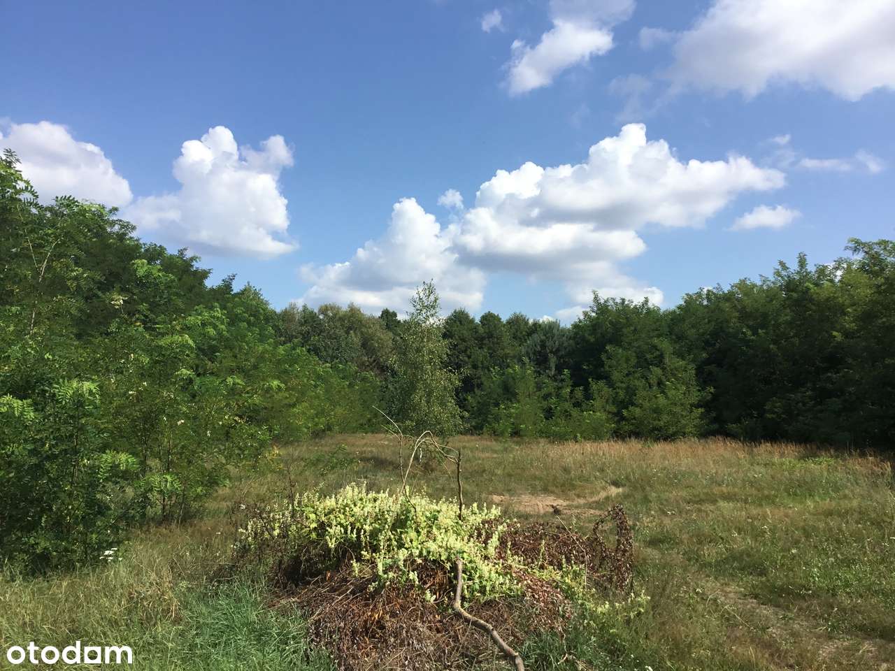 !DZIAŁKa BuDoWLanA blisko JEZioRa 1222m2 ! - Pełny obrazek: 4/4