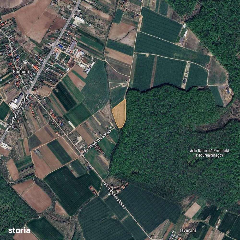 Lot de teren, padurea Snagov - Ciolpani - mega reduceri de pret!-8