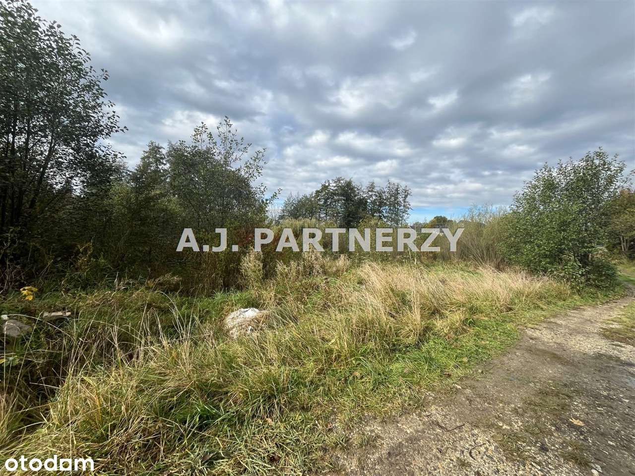 Działka budowlana w Rożnowej/Wieliczka-3