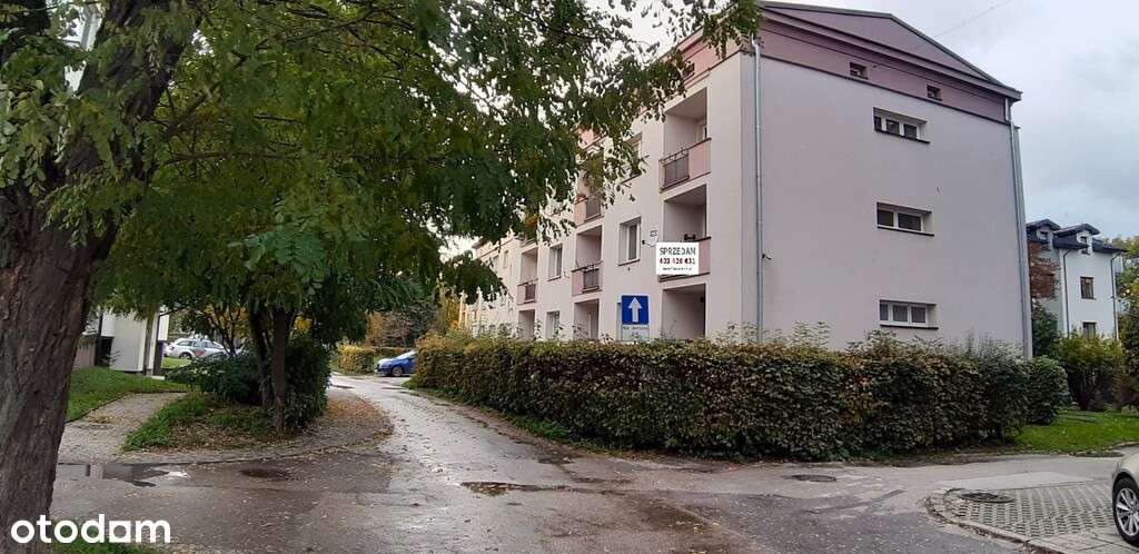 2-pokojowe+piwnica+strych - Pełny obrazek: 1/19