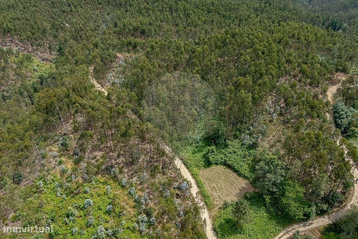 Terreno  para venda - Grande imagem: 5/9