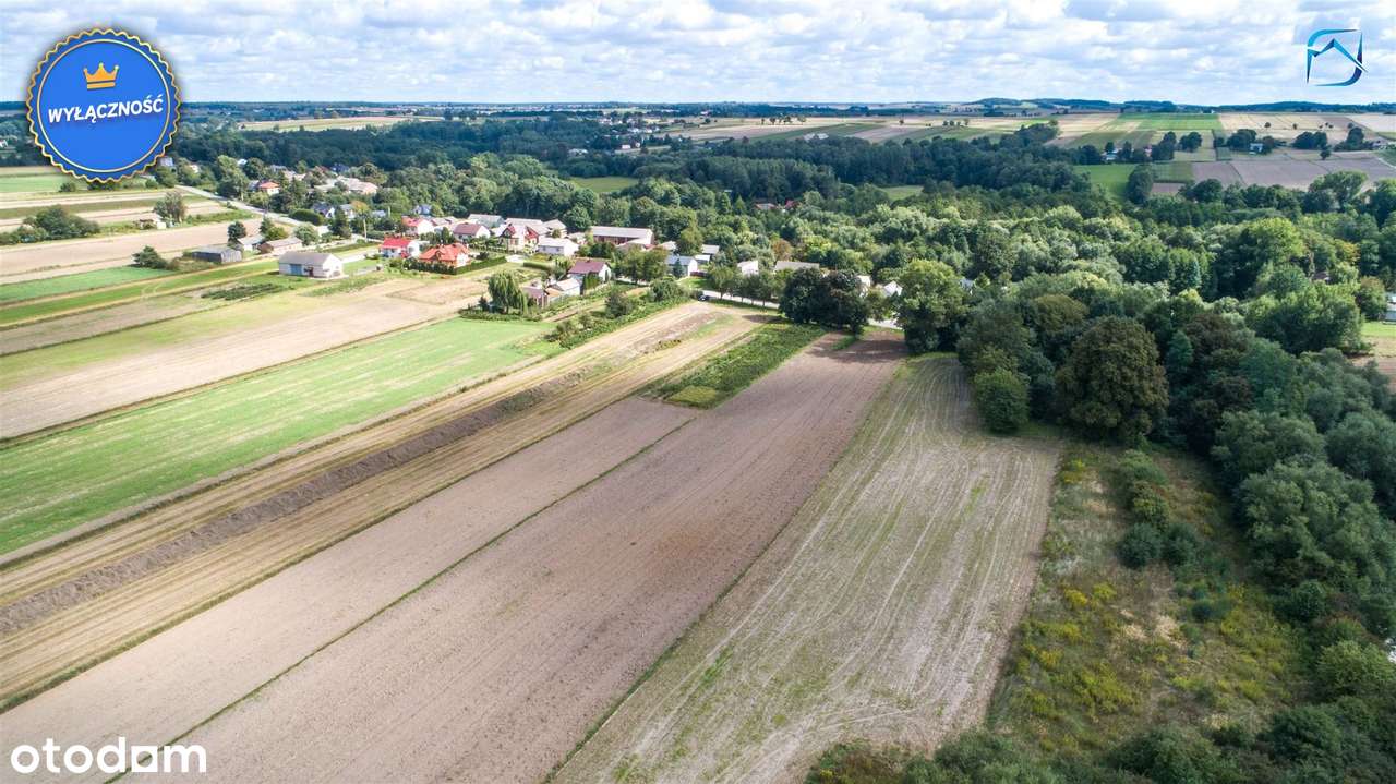 Działka budowlana- Zdrapy, gm. Bychawa - Pełny obrazek: 5/7