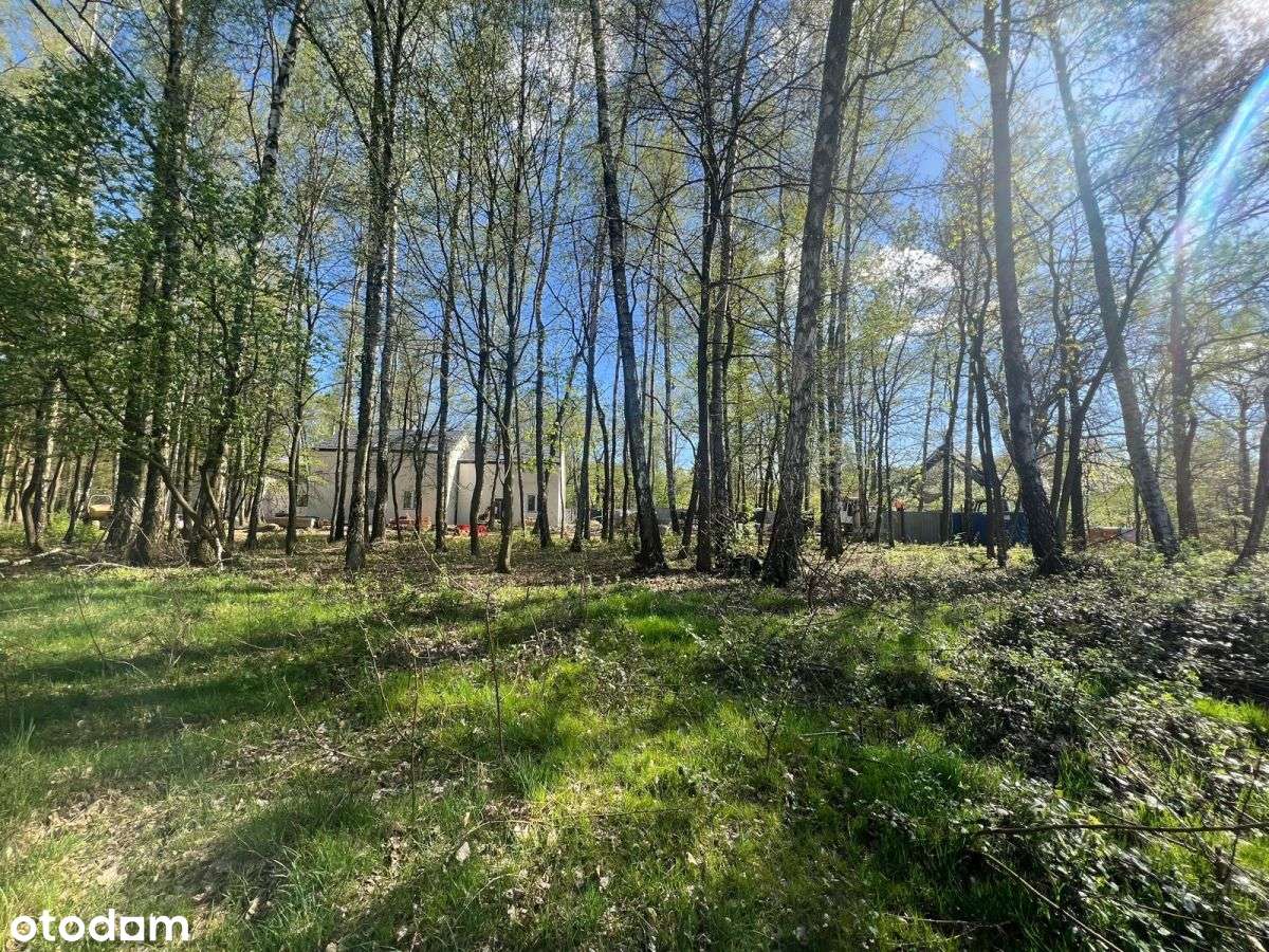 Rezerwacja !!! - Pełny obrazek: 2/13