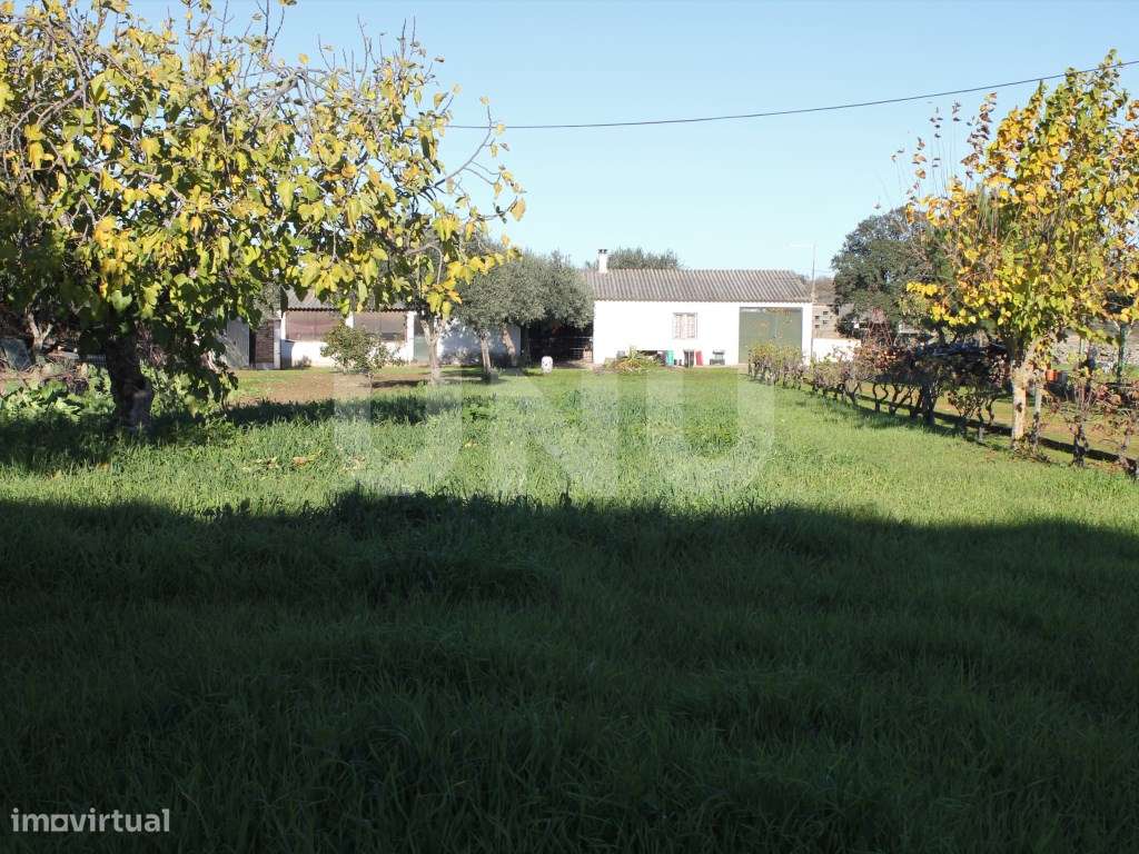 Quinta para venda em Oledo, Idanha-a-Nova, Portugal-49