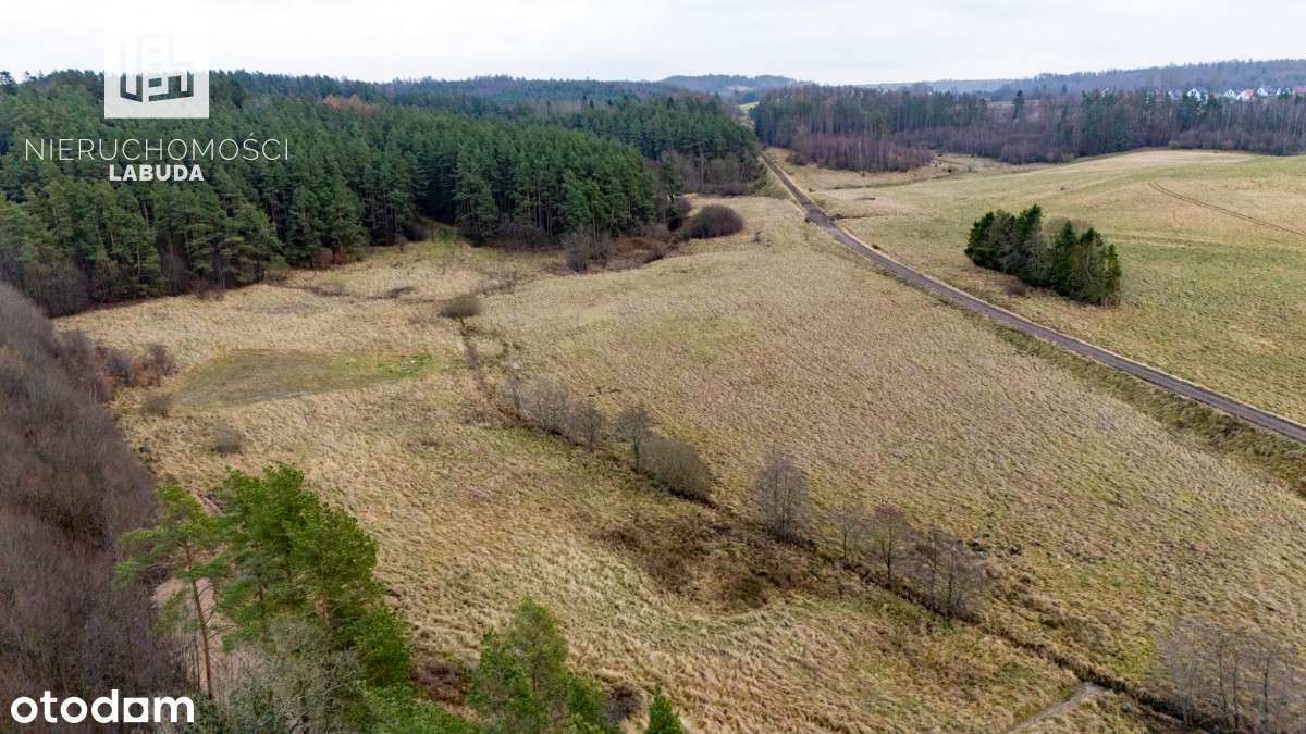 Widokowa działka z WZ przy lesie – Prokowo - Pełny obrazek: 4/7