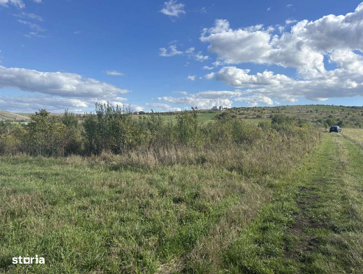 Teren cuprins în Masterplanul Sopor Cluj Napoca - Imagine principală: 5/6