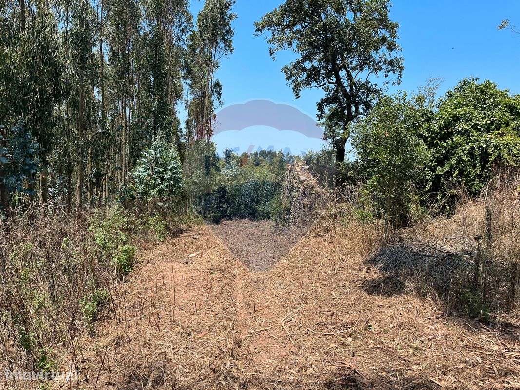 Terreno  para venda - Grande imagem: 2/11