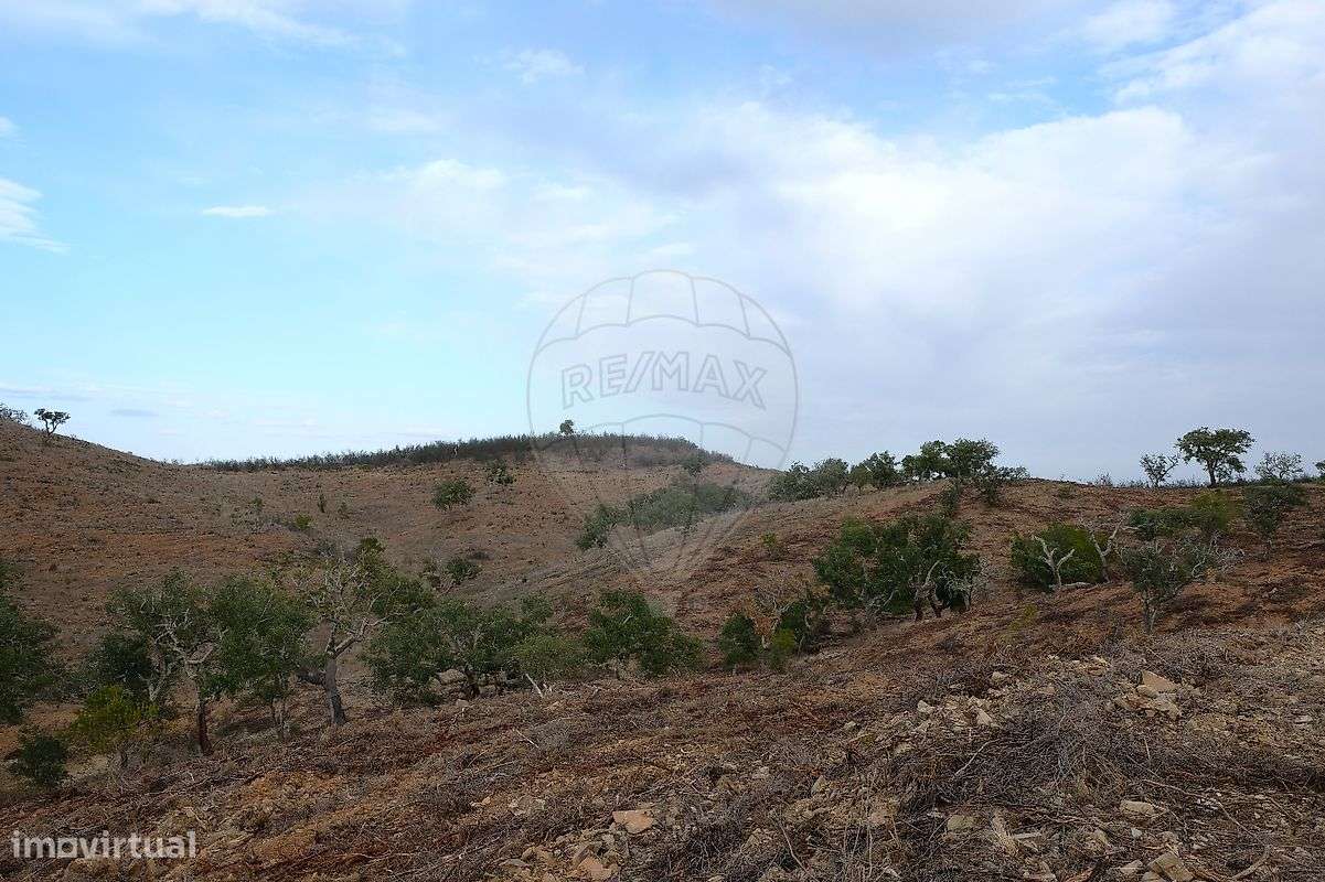 Terreno  para venda - Grande imagem: 3/10