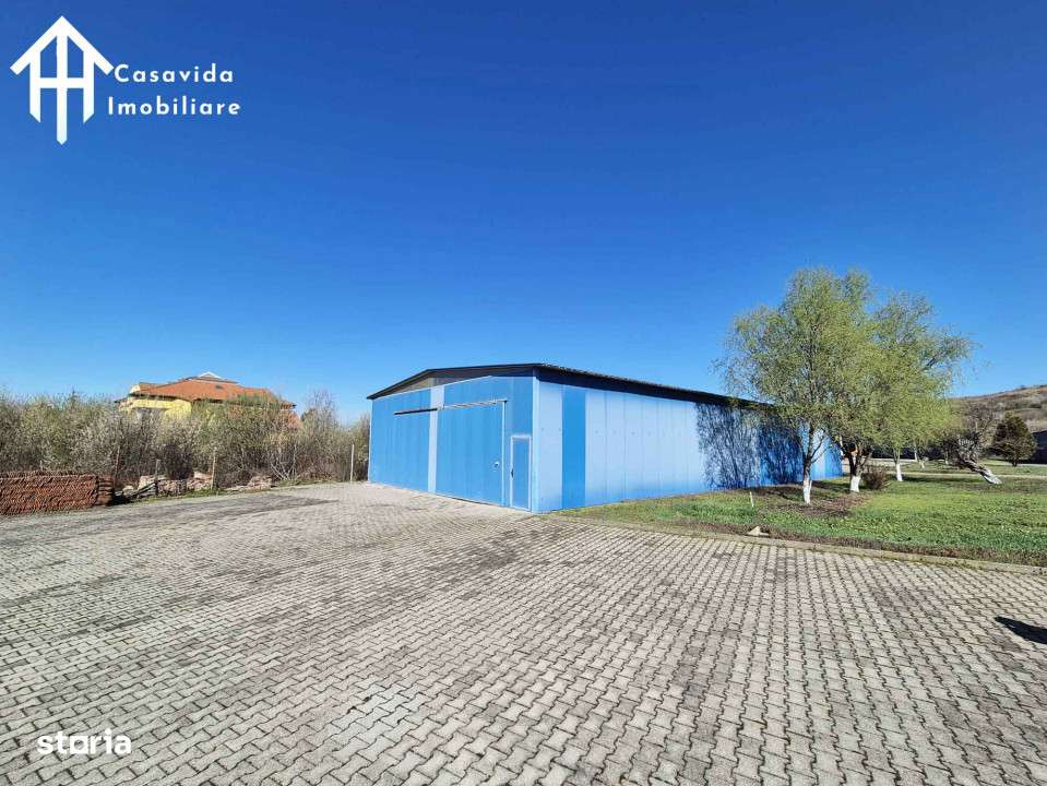 De inchiriat hale si showroom in Lugoj - Imagine principală: 2/10