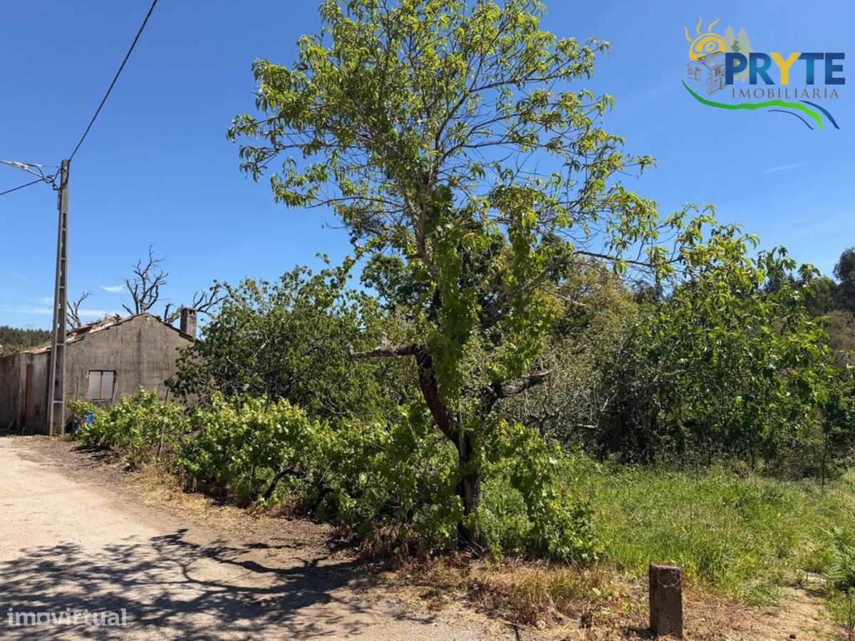 Terreno parcialmente dentro do perímetro urbano da aldeia-10