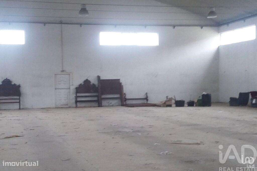 Comércio diverso em Constantim e Vale de Nogueiras de 925,00 m2 - Grande imagem: 5/30