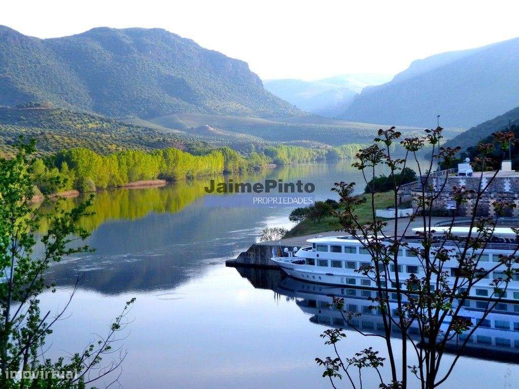 Olival de 6,9ha + Olival de 3ha, Escalhão. Portugal, F. C. Rodrigo,...-8