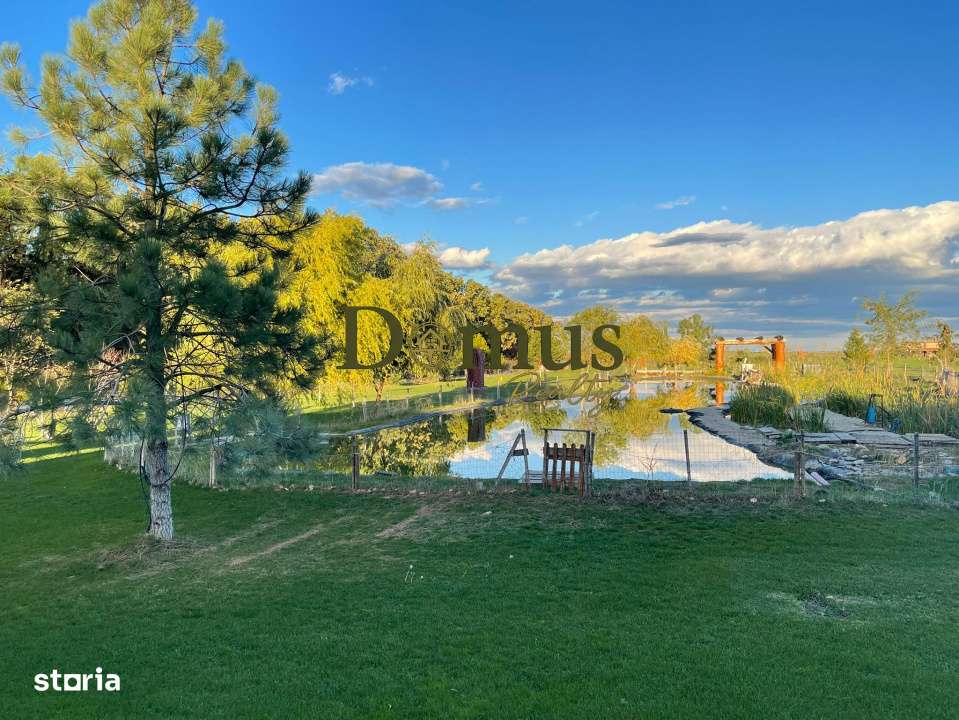 Casa de Busteni Buncar Piscina Independenta Complet-3