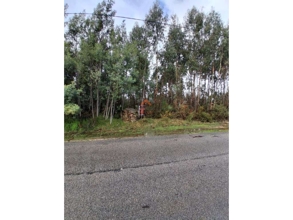 Terreno 3960m² para Construção, possibilidade de Permuta - Grande imagem: 5/5