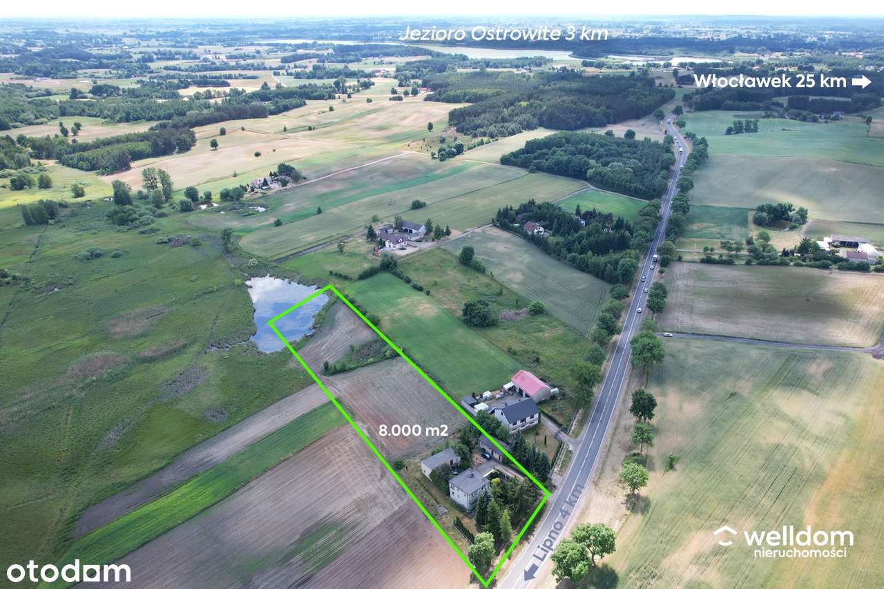 Siedlisko ze stawem, duża działka, budynki gospodarcze, blisko Lipna. - Pełny obrazek: 4/19
